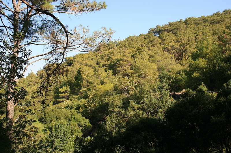 Rodos 2007 266